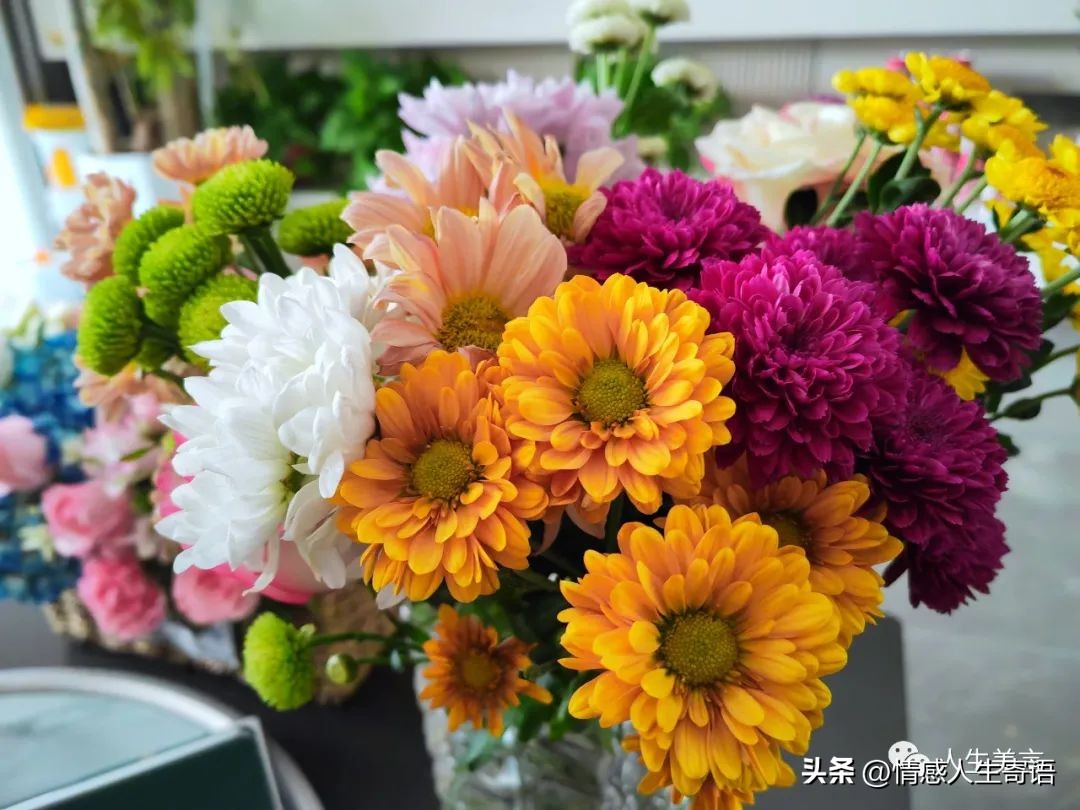 高情商发朋友圈的句子20句，总有一句与你心有灵犀!