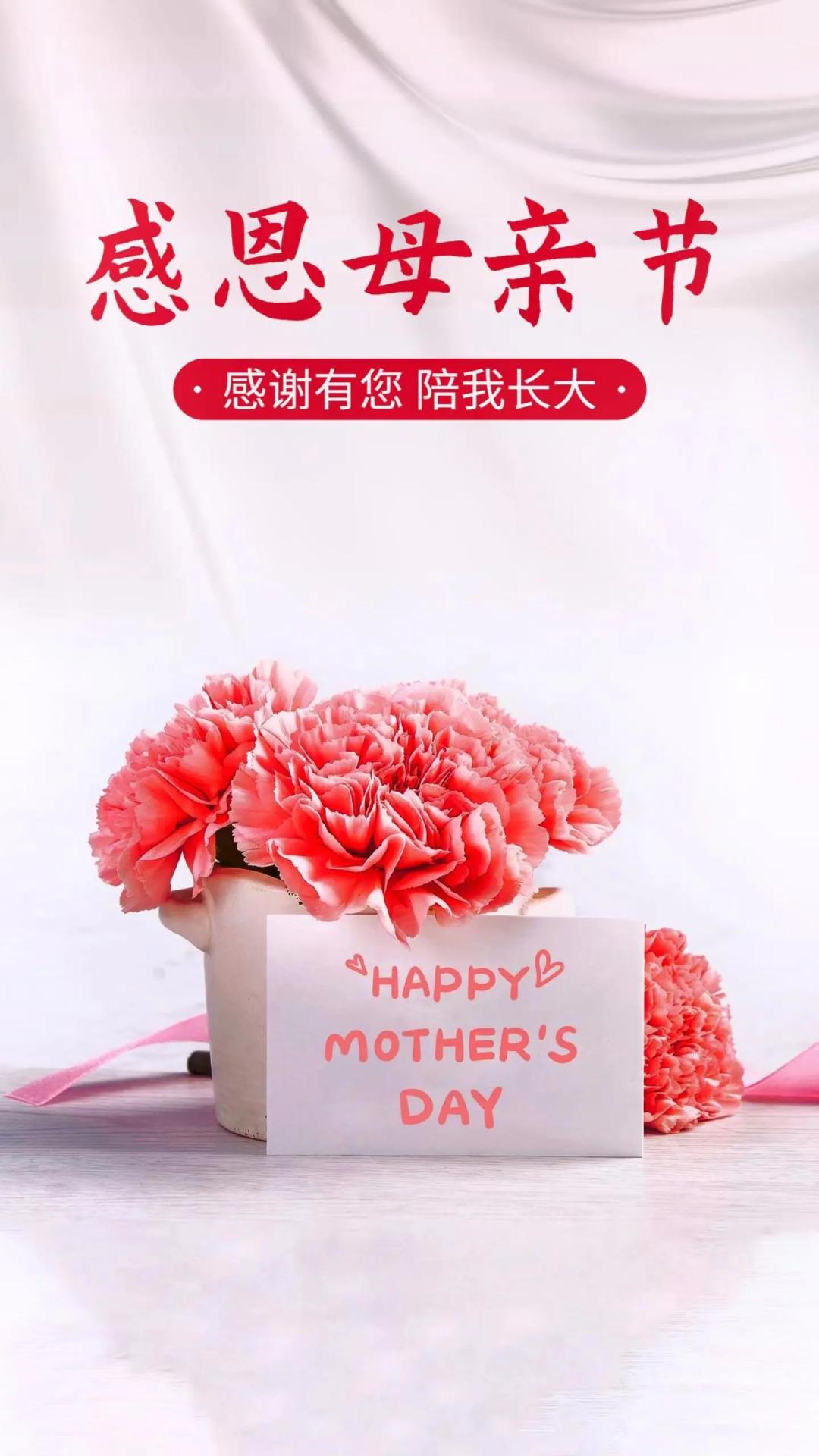 给母亲的祝福31句，祝所有母亲平安健康