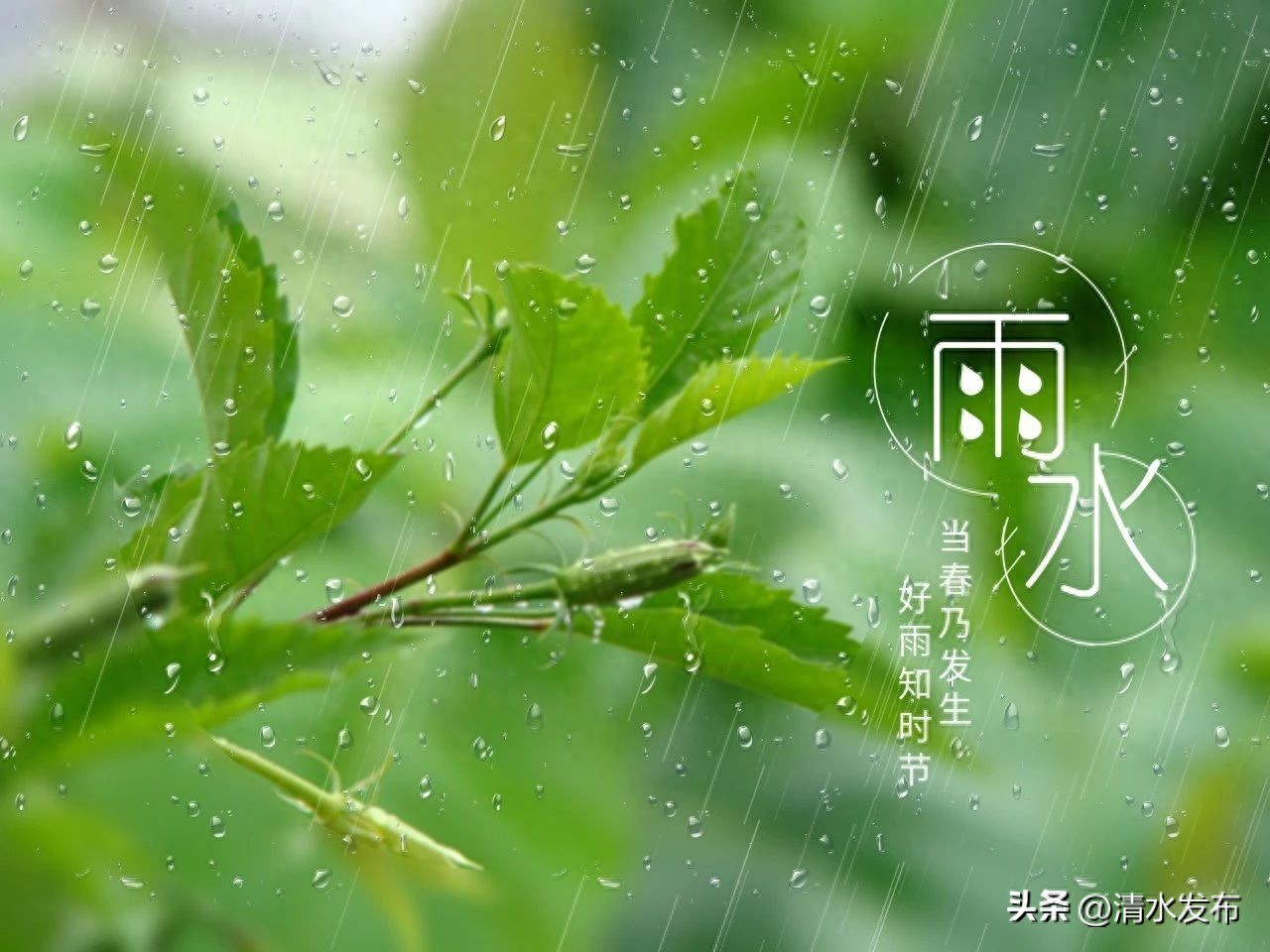 雨的古诗100句，相同的雨，不同的美!