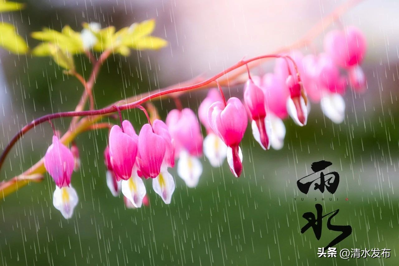 雨的古诗100句，相同的雨，不同的美!