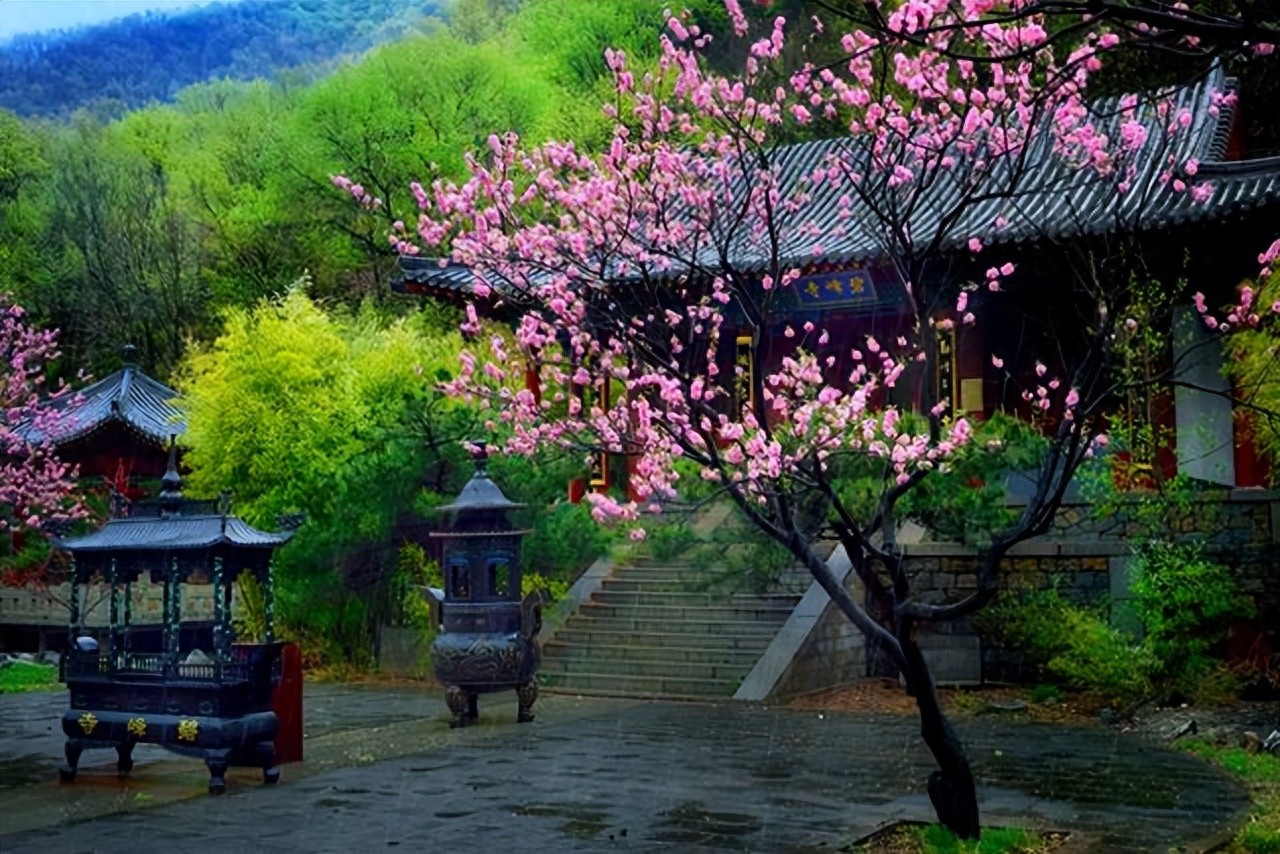 桃花的诗句10首,令人心旷神怡 - 图强作文网