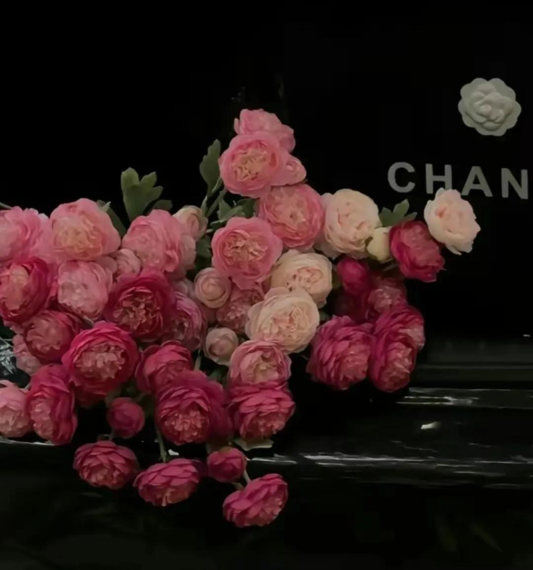 幸福的句子15句，让你发现生活的美好