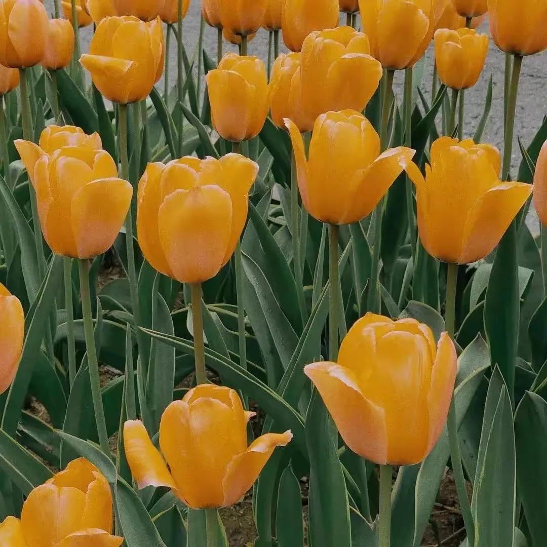 幸福的句子15句，让你发现生活的美好