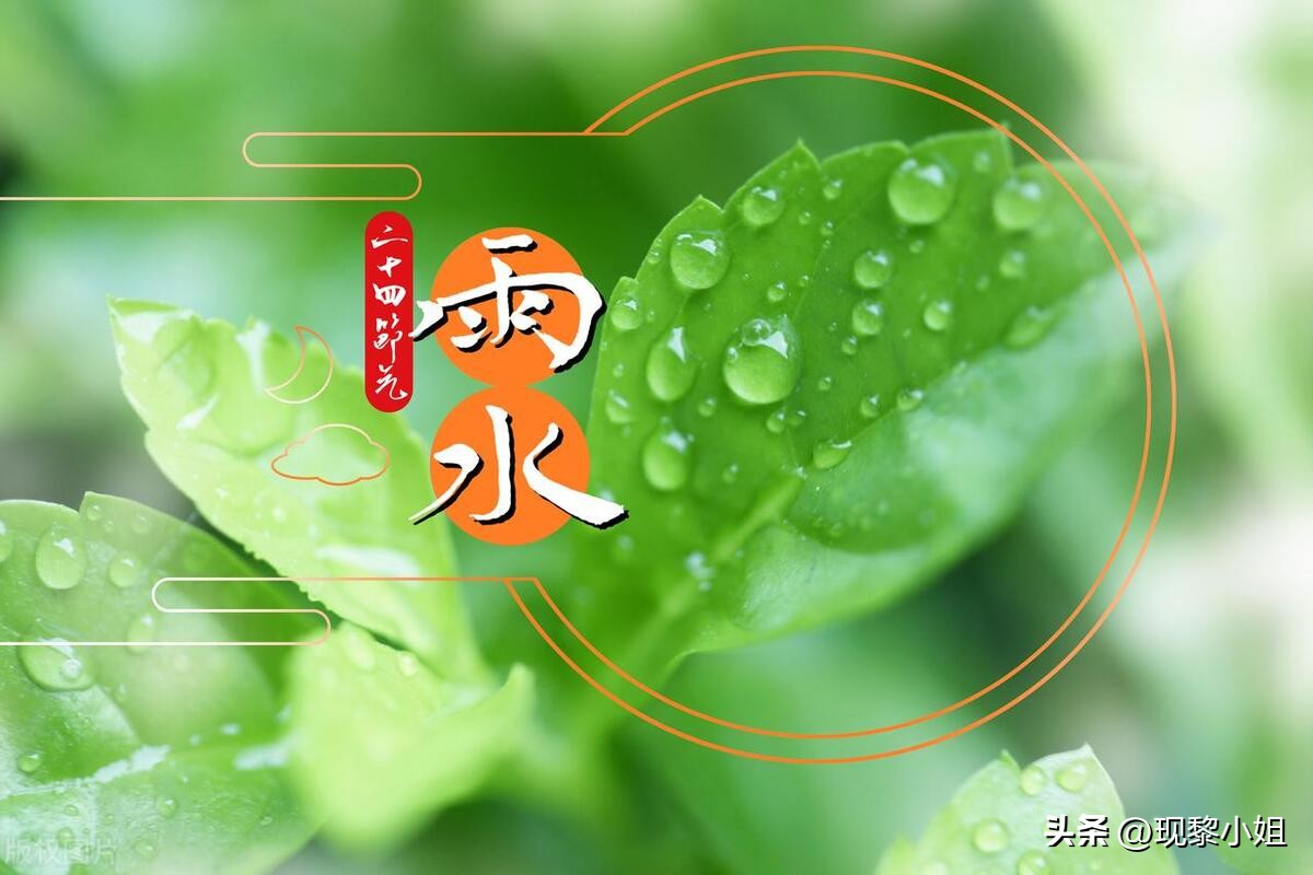 春雨的描写唯美句子25句，春雨落，万物生，烟雨杏花寒