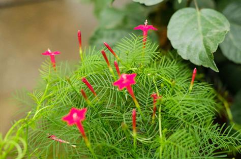 离别祝福语20句，不泣离别，不言伤心