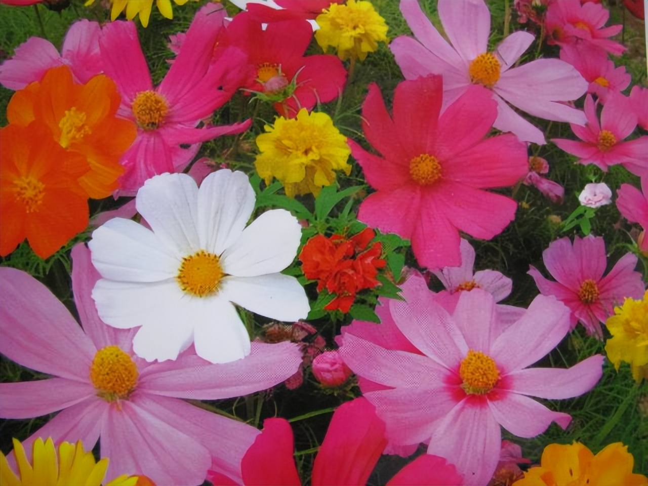 离别祝福语20句，不泣离别，不言伤心