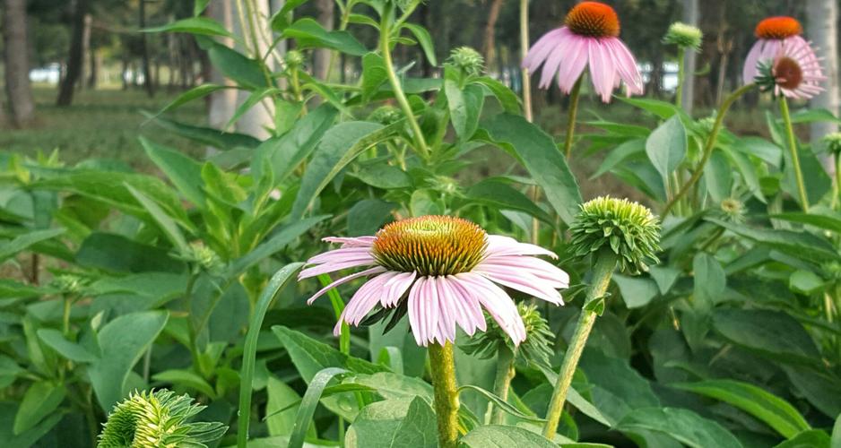 离别祝福语20句，不泣离别，不言伤心