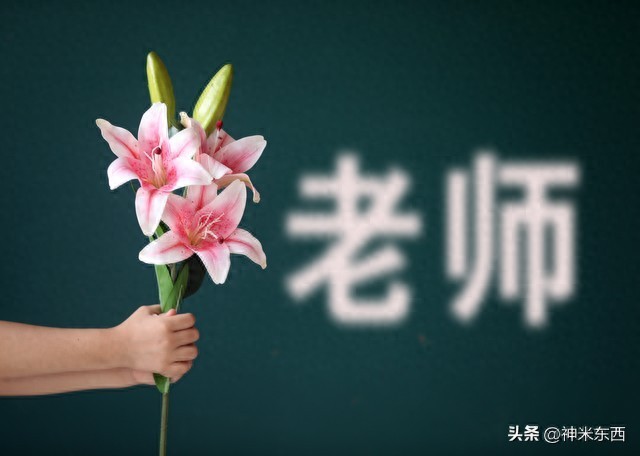 歌颂老师的古诗9首,一起感谢恩师!