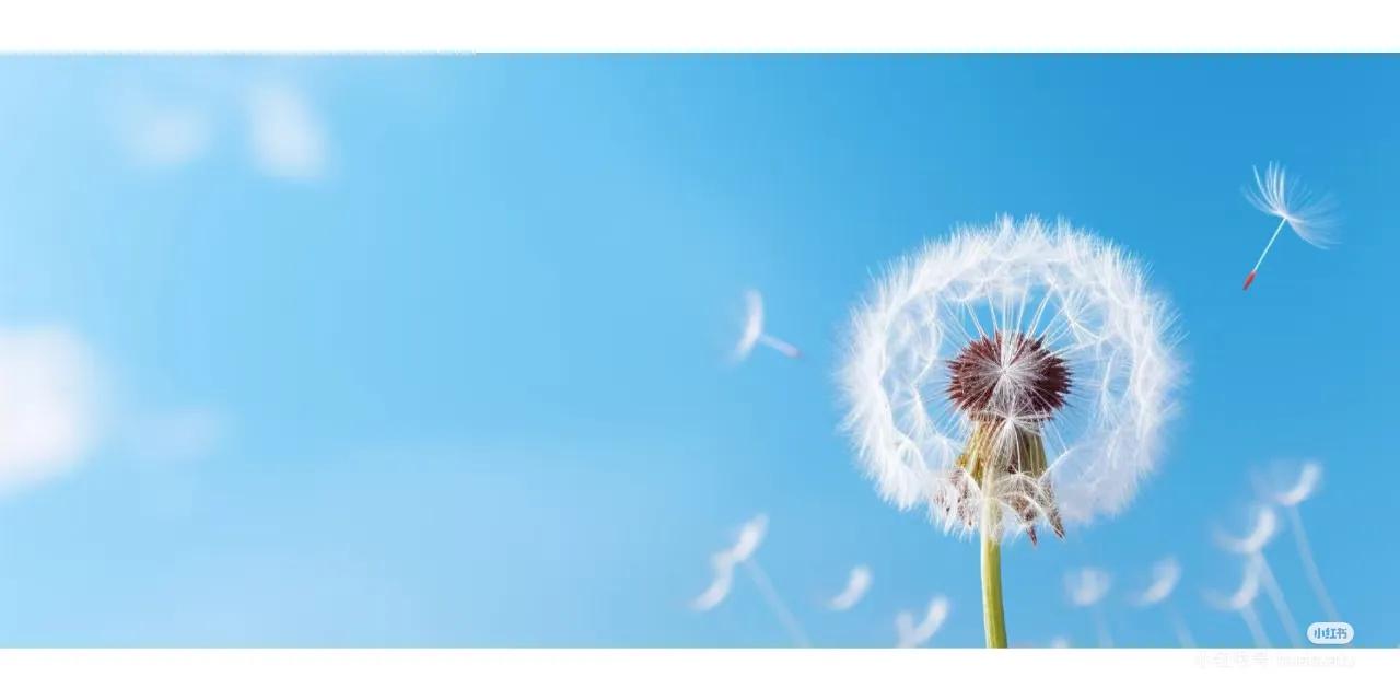 爱情经典语句100句，唯美走心，直抵心灵