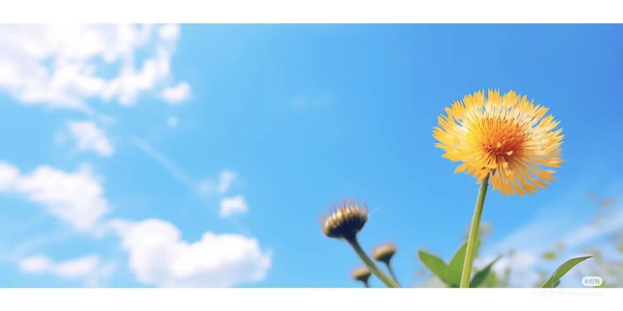 爱情经典语句100句，唯美走心，直抵心灵