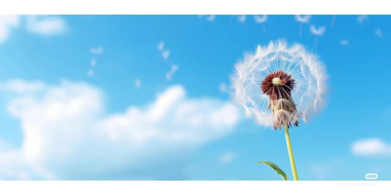 爱情经典语句100句，唯美走心，直抵心灵