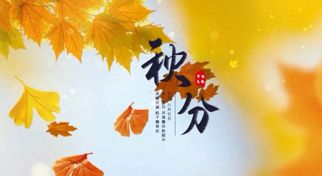 关于秋分的古诗30首,窥见秋之静美 - 图强作文网