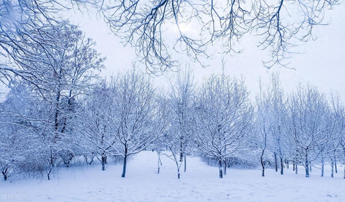 下雪的优美诗句15句，治愈了整个冬天