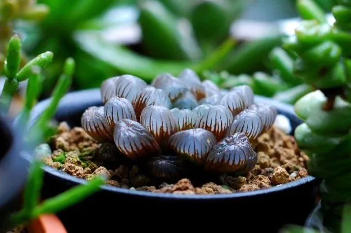超励志的正能量句子21句，让你越来越优秀