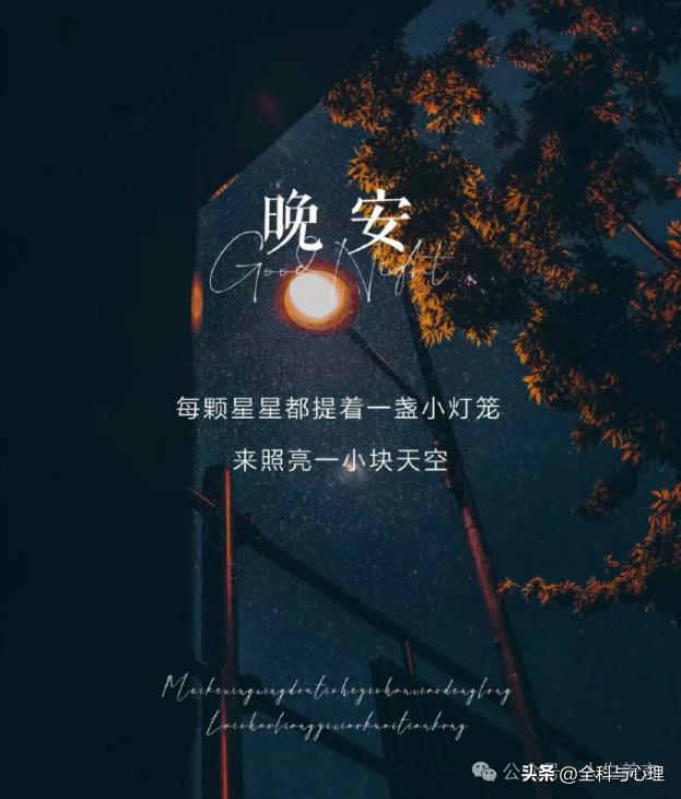 晚安温馨句子13句,助你一夜好眠 - 图强作文网