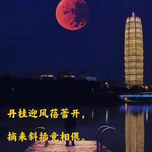 桂花诗句30首，写尽桂花的浪漫