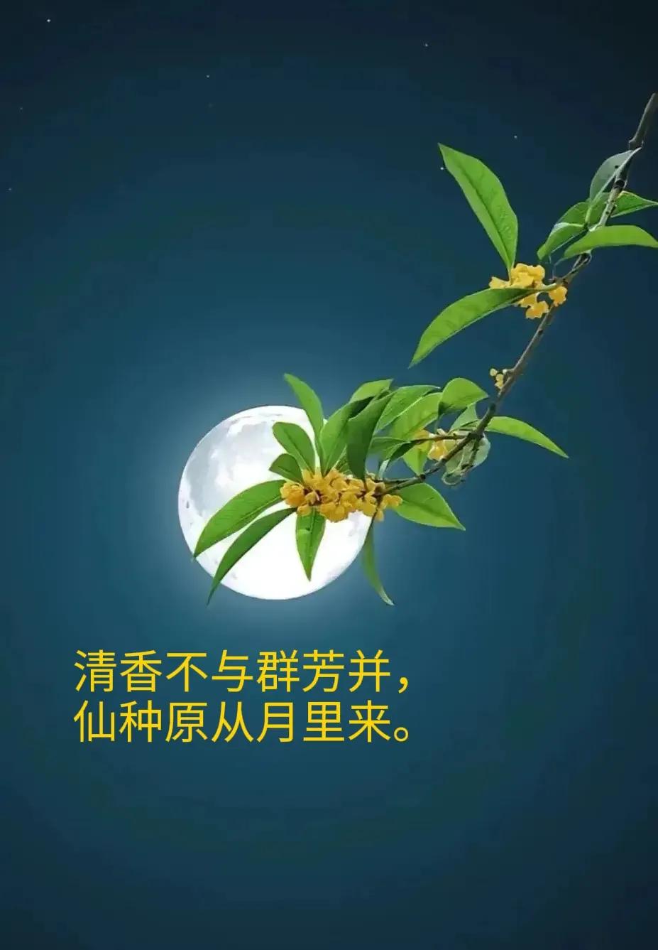 桂花诗句30首，写尽桂花的浪漫