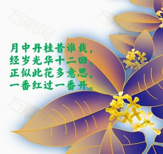 桂花诗句30首，写尽桂花的浪漫
