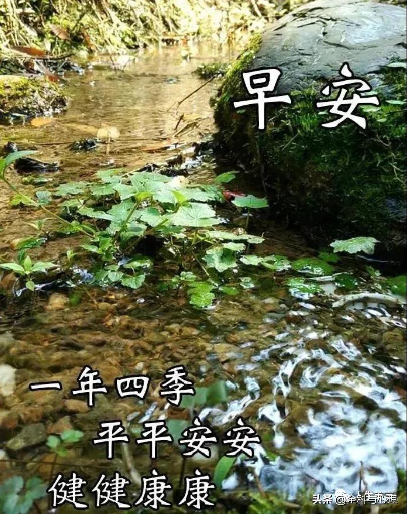 早晨的句子发朋友圈9句,拥有一天好心情