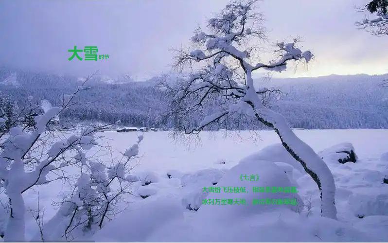 大雪节气的古诗5首，一起感知大雪纷飞