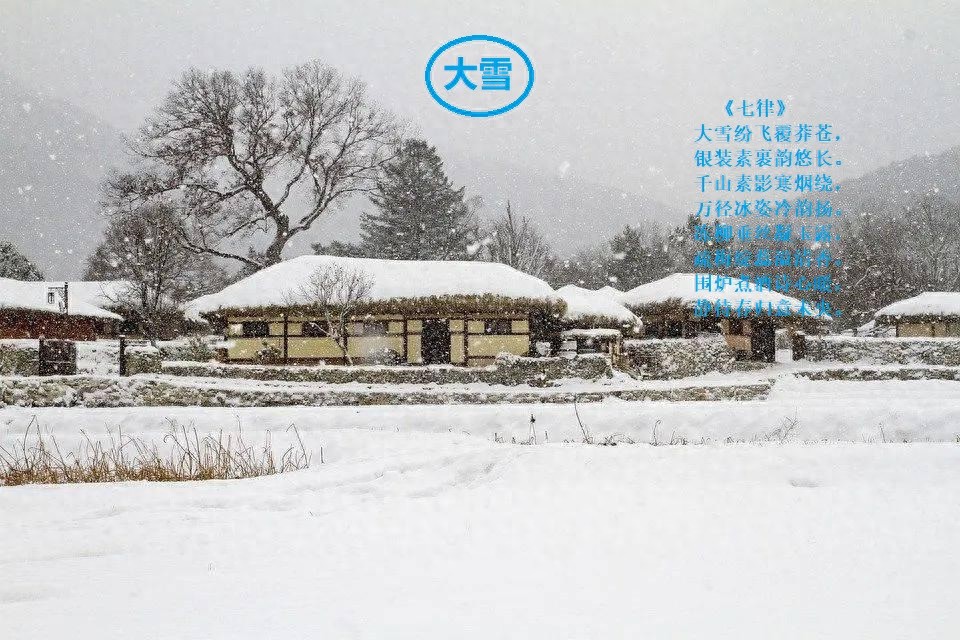 大雪节气的古诗5首，一起感知大雪纷飞