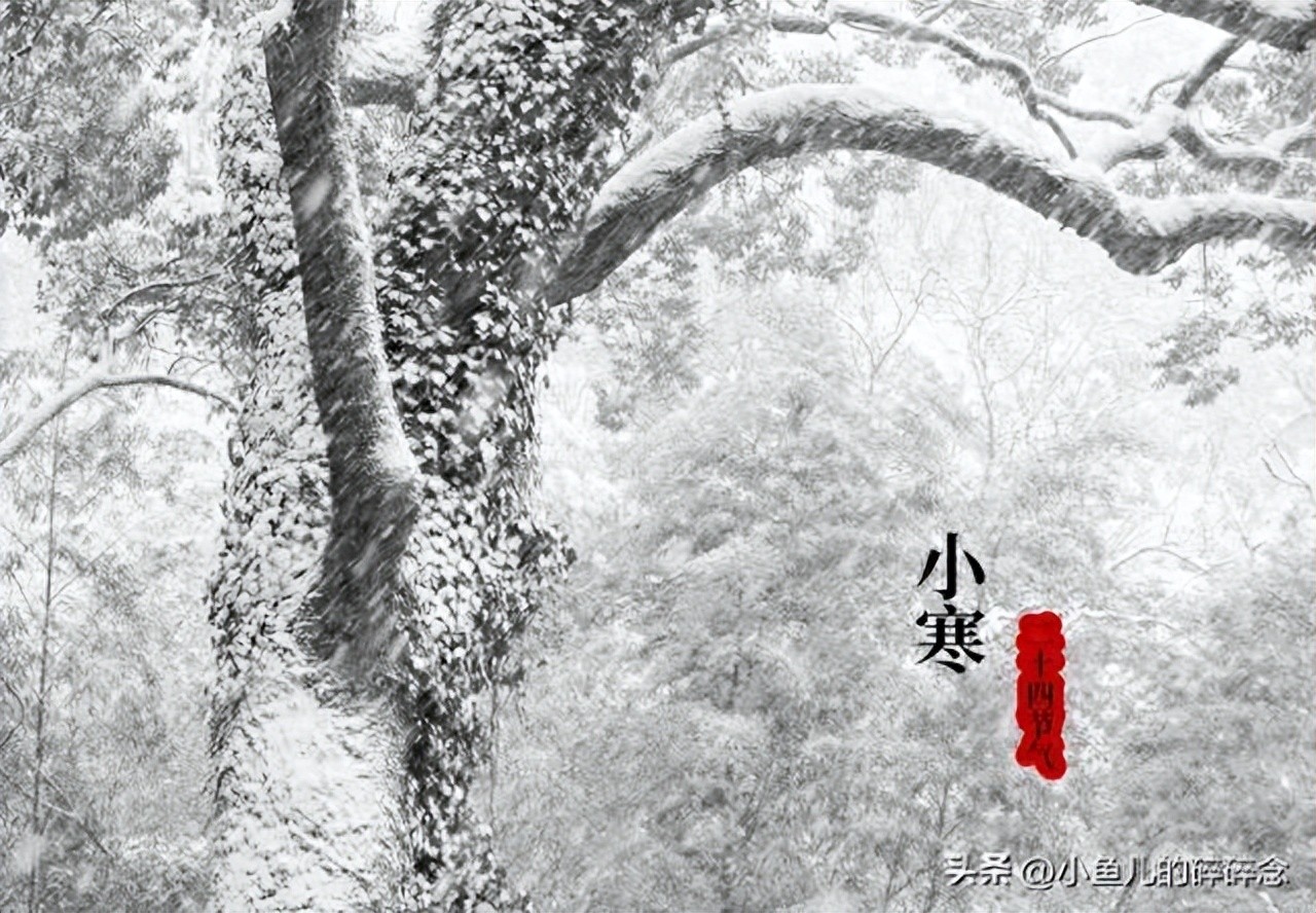 写小寒的唯美诗句12首,惊艳了时光,温柔了岁月