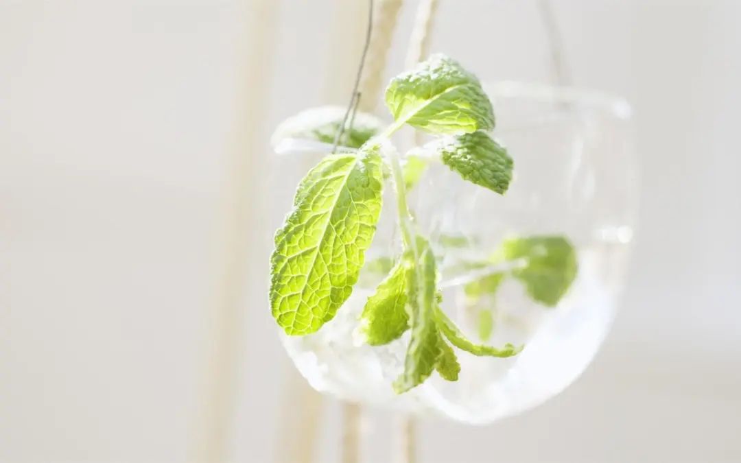 祝愿公司前程好的句子21句，祝公司一路繁花似锦