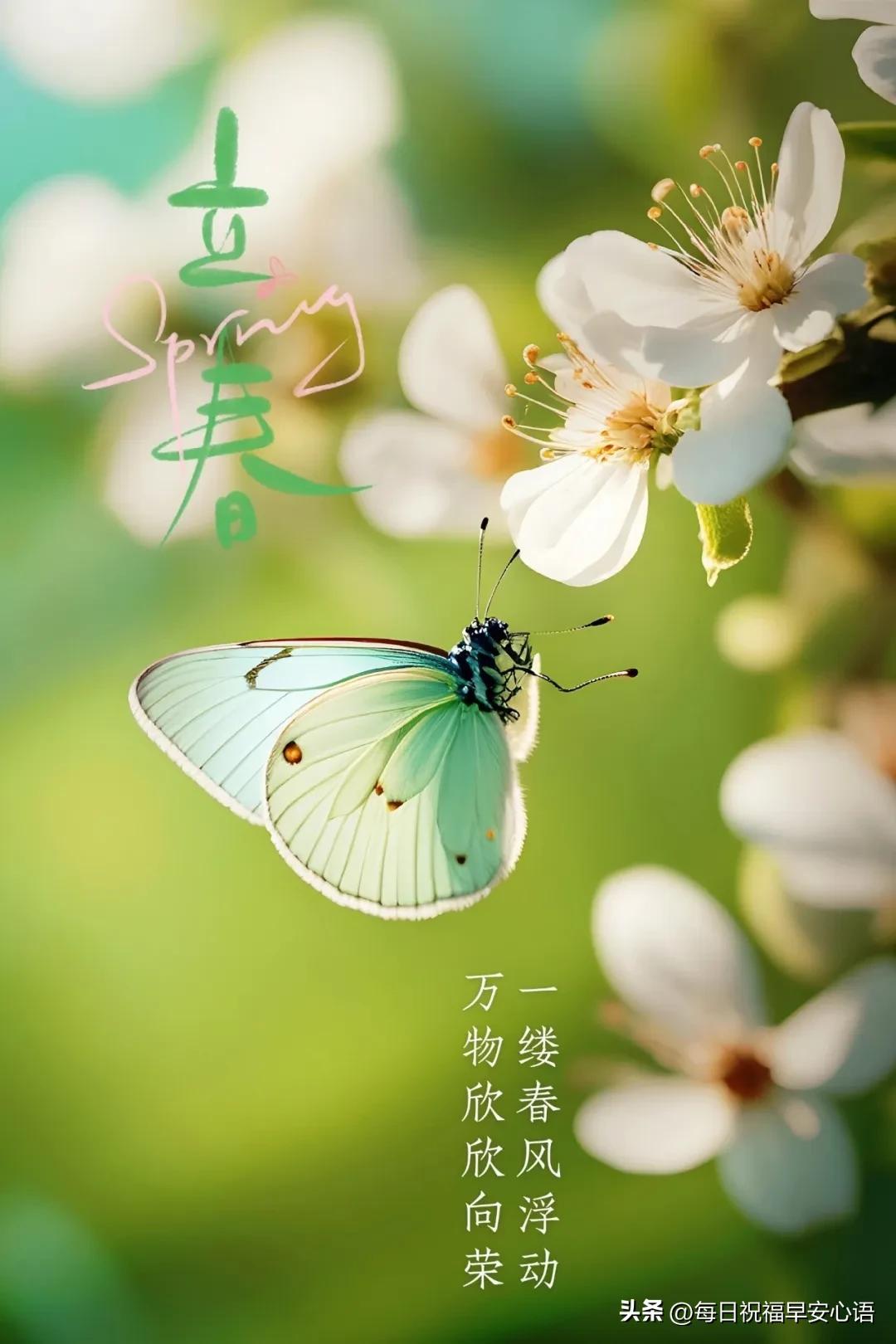 立春心情短句10句，万物随春醒，美好皆可期