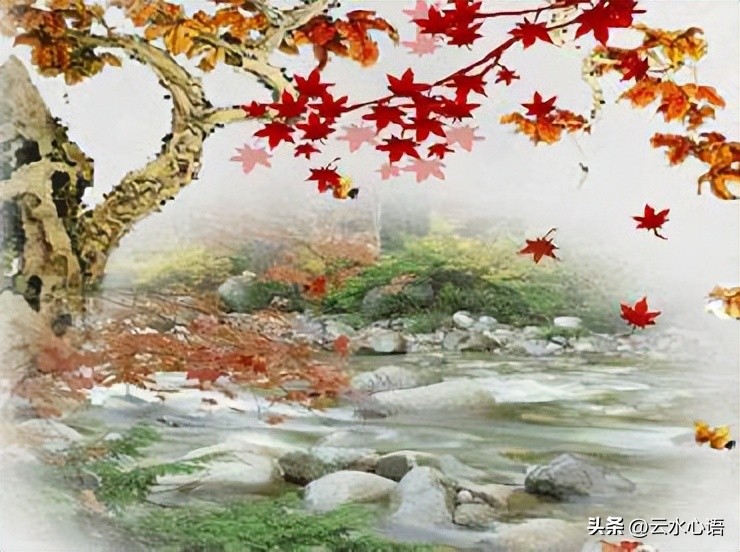 描写风的诗句12首，读完令人惬意开怀