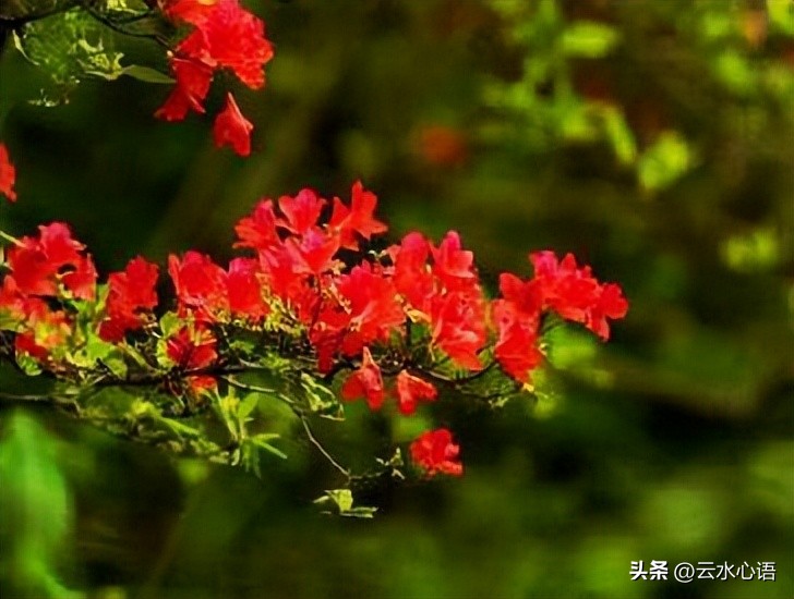 描写风的诗句12首，读完令人惬意开怀