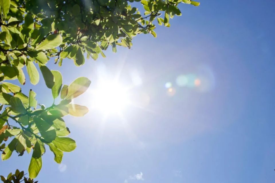 夏的诗句20首，感受古人的另一番情致