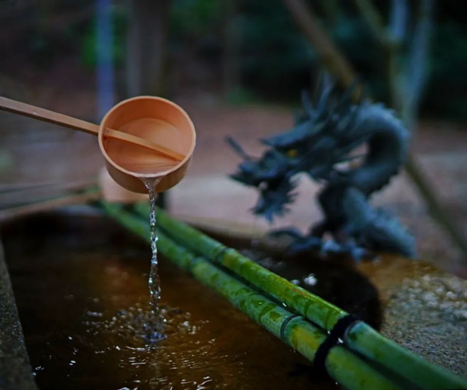 夏的诗句20首，感受古人的另一番情致