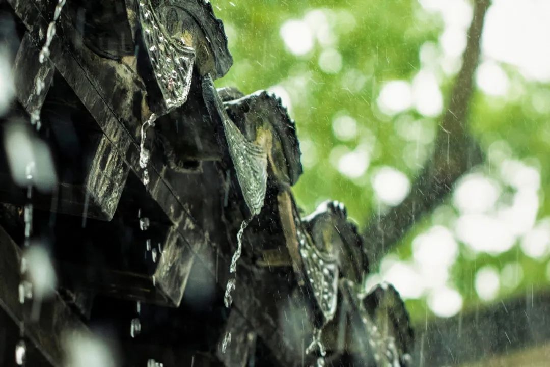 含雨的诗句10首，尽显雨之美