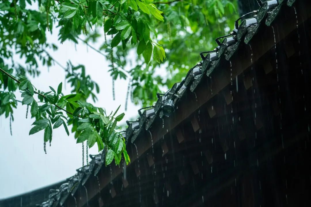 含雨的诗句10首，尽显雨之美