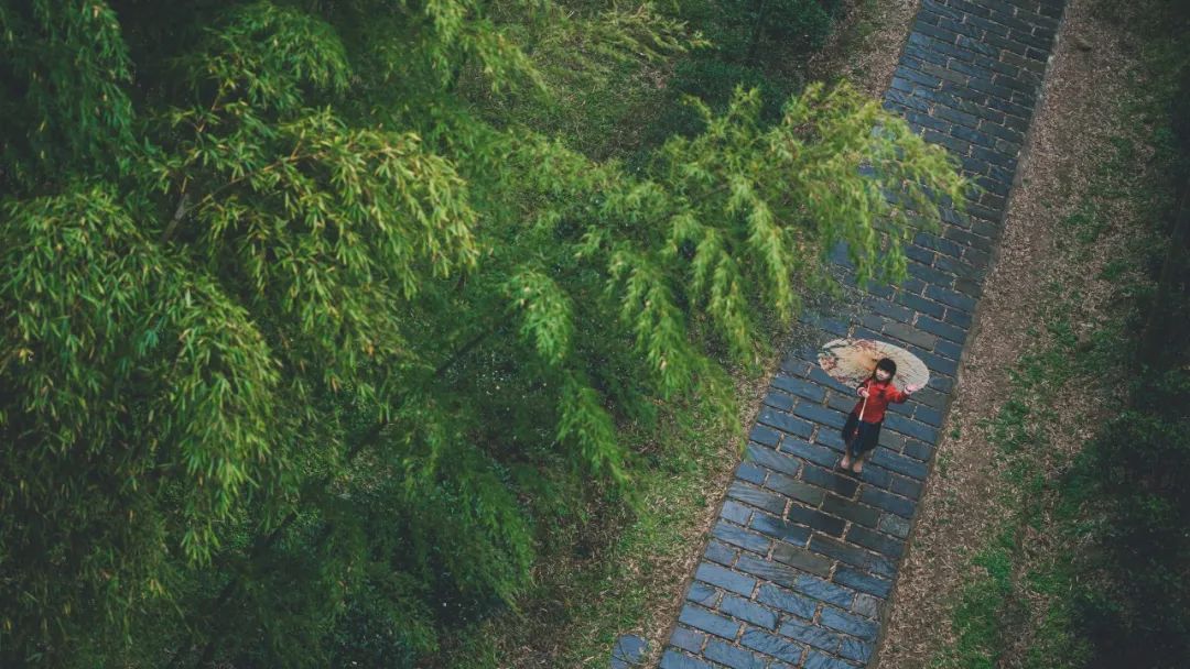 含雨的诗句10首，尽显雨之美