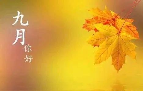 八月再见九月你好句子12句，愿世间美好，都与你不期而遇!