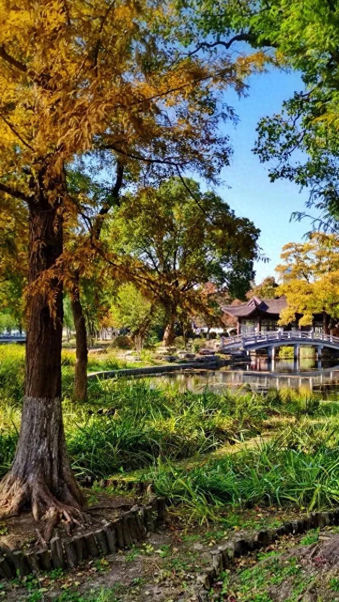 描写秋天的景色句子30句，写得太美！