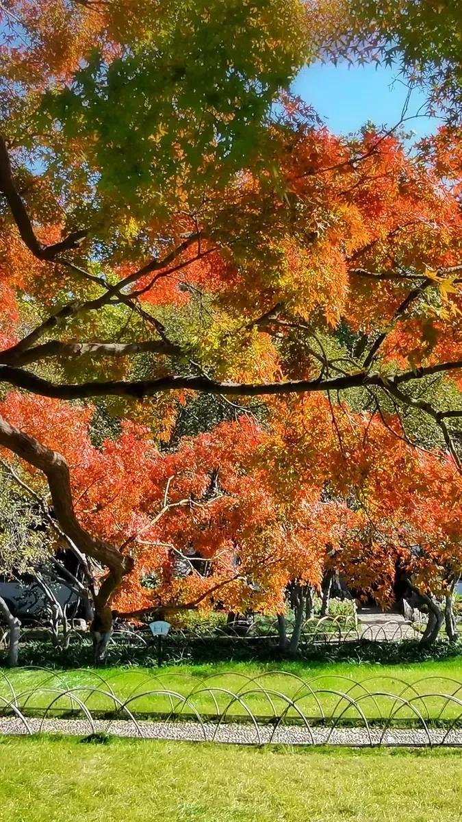 描写秋天的景色句子30句，写得太美！