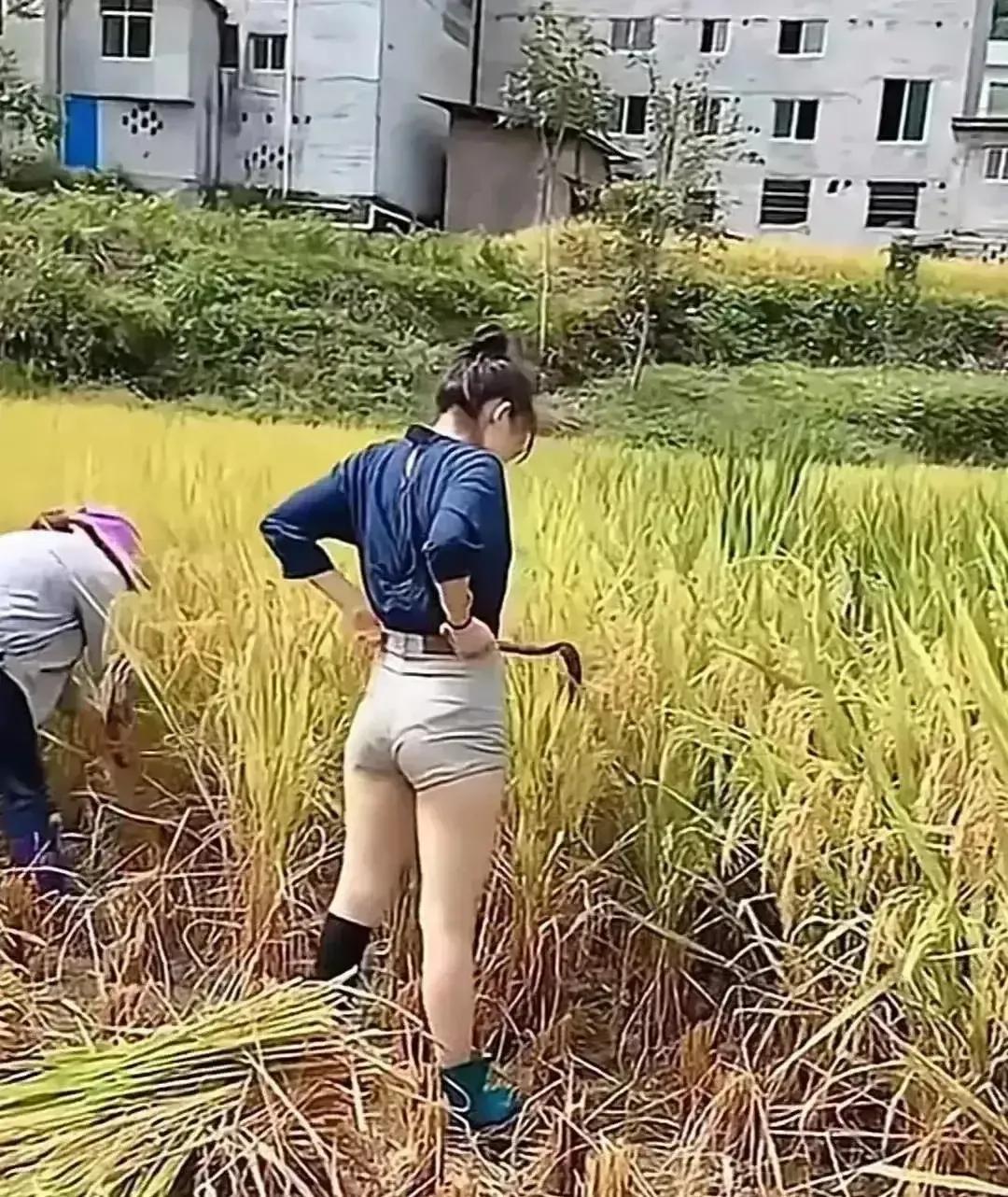 描写秋天的景色句子30句，写得太美！