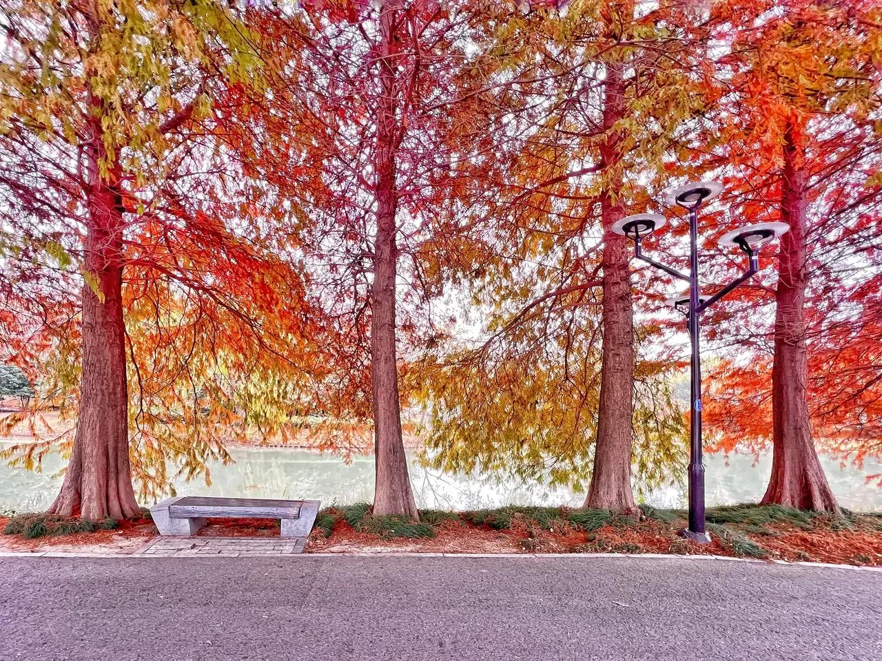 描写秋天的景色句子30句，写得太美！