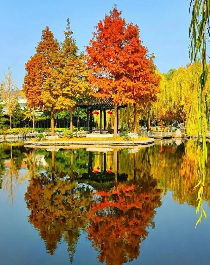 描写秋天的景色句子30句，写得太美！