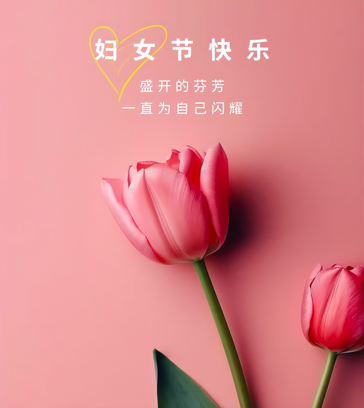 三八妇女节的佳句20句，温馨不俗套