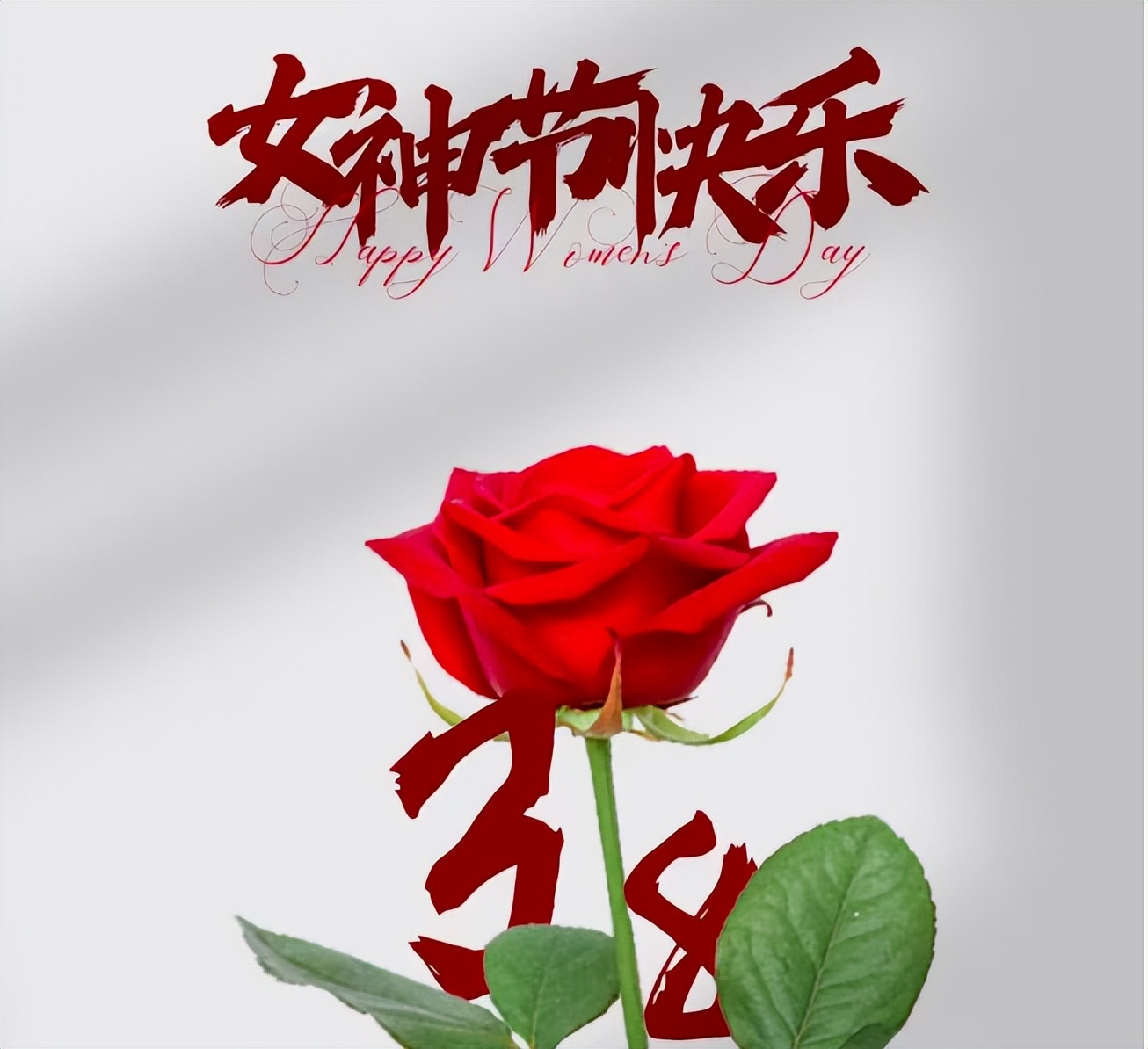 三八妇女节的佳句20句，温馨不俗套