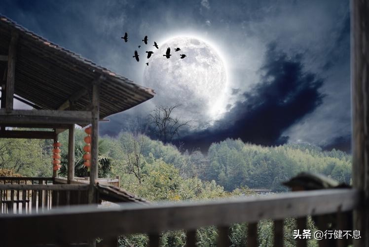 思念家乡的古诗20首，总有一首打动你