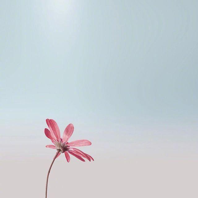 励志的句子21句，开启元气满满的一天