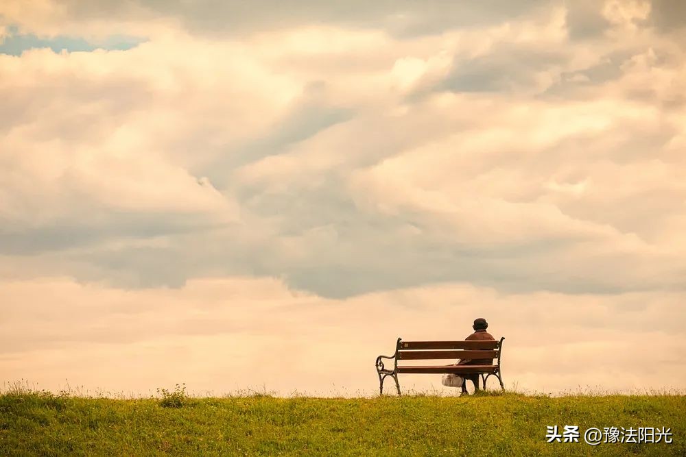 关于母爱的诗句10首，致敬伟大母爱