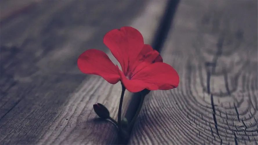 特别深爱一个人的句子20句，读一遍就念念不忘