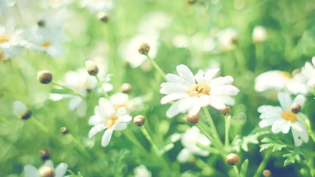 赞美劳动的简短句子20句，致敬所有劳动者!