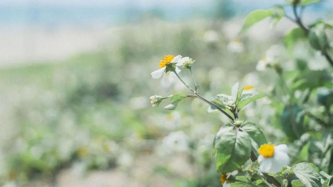 赞美劳动的简短句子20句，致敬所有劳动者!