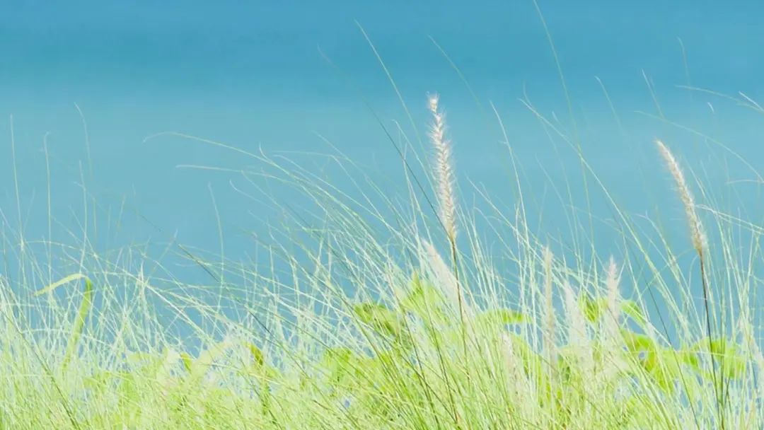 赞美劳动的简短句子20句，致敬所有劳动者!